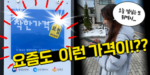 요즘도 이런 가격이!?!!😱ㅣ만 원에 두 끼도 해결 가능👍ㅣ강화군 착한가격업소🏠 사진